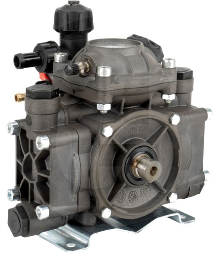 [AMAT3-184525] Annovi Reverberi Pompă cu diafragmă, piston AR202 SP/VRI - BlueFlex