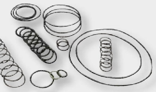 [AMAT3-184670] Annovi Reverberi Set membrane BNR - membrana individuala 6701040081