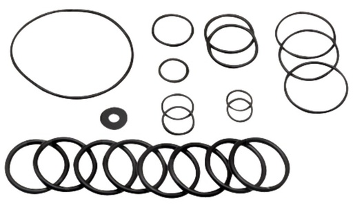 [AMAT3-185315] Annovi Reverberi Set o-ringuri - din an fabricatie 2010