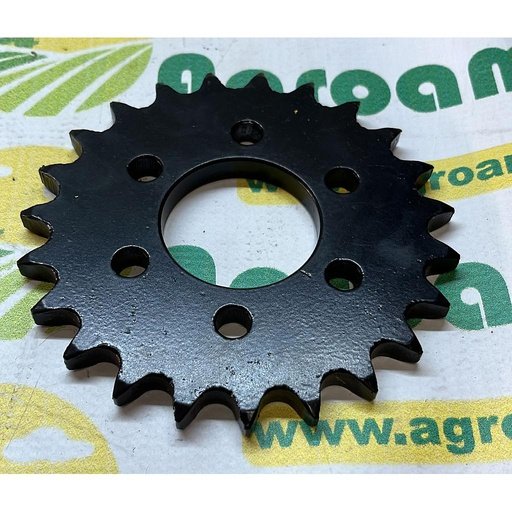 [AMAT1-11584] Pinion 6 Gauri Z23