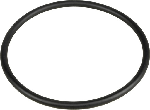 [AMAT4-118034] O-ring 61591