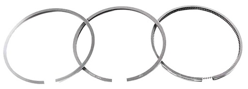 [AMAT4-122353] Seria segmenti STD PERKINS 98.48mm 6677189A1C