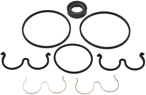 [AMAT4-126576] Etansare kit pentru PLP10 pumps 83796