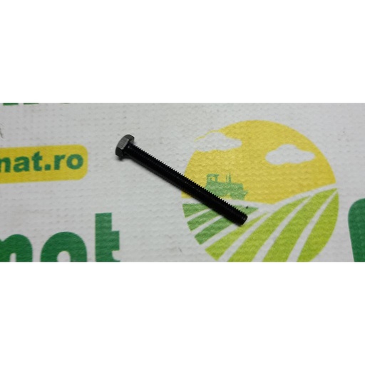 [AMAT1-35137] Surub cap hexagonal M6x70mm