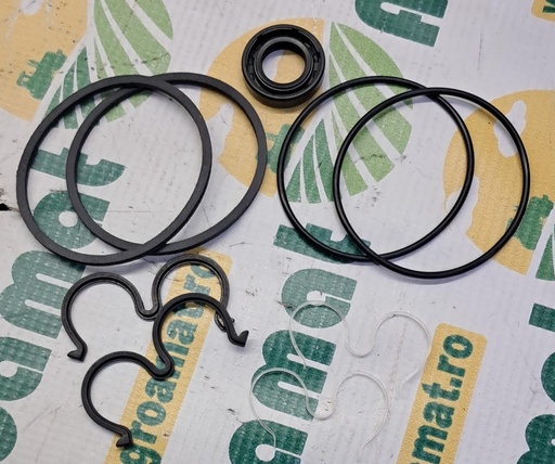 [AMAT1-18240] Kit Reparatie Pompa Hidraulica 2.4529.330.1/10