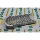 Cuzineti Palier R-1 4955860