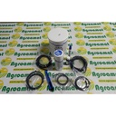 Set Lipire Oring-uri