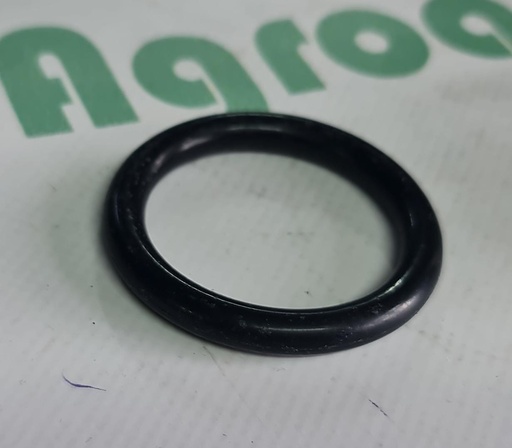 [AMAT1-11134] O-Ring Pompa Comet