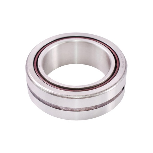 [AMAT6-101689] Rulment NA4909