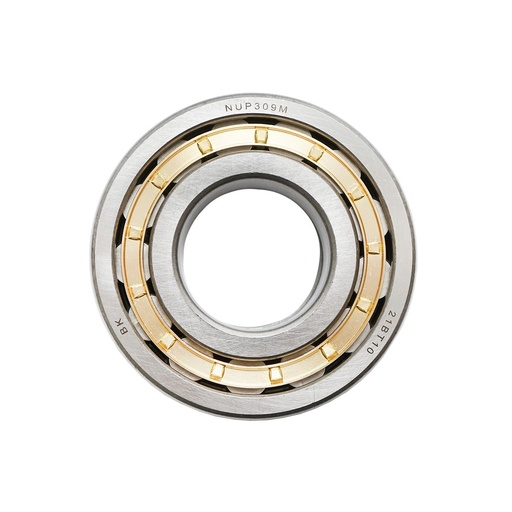 [AMAT6-101757] Rulment NUP309
