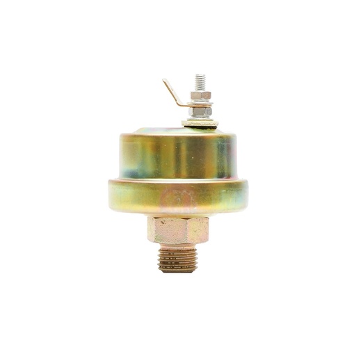 [AMAT6-101883] Sonda ulei mare bulb 5621