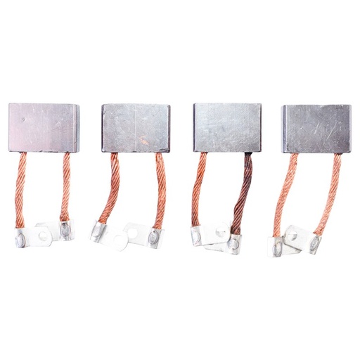 [AMAT6-102034] Perii electromotor RABA /set