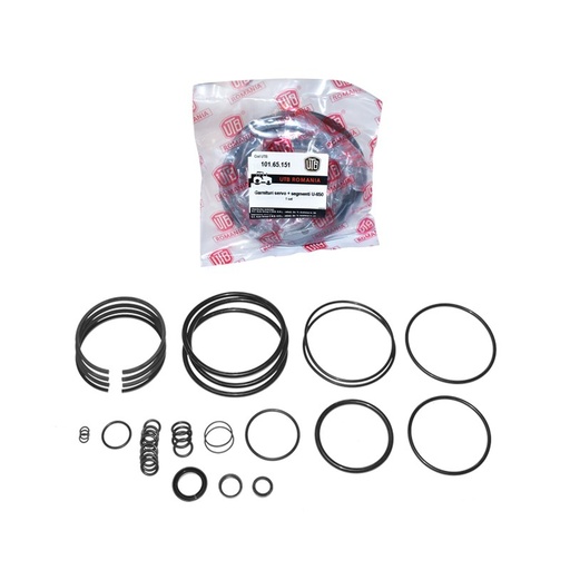 [AMAT6-102445] Garnituri cu segmenti pentru servodirectie U-650 /set