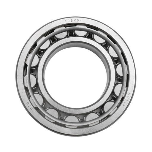 [AMAT6-106257] Rulment cu role cilindrice NU213
