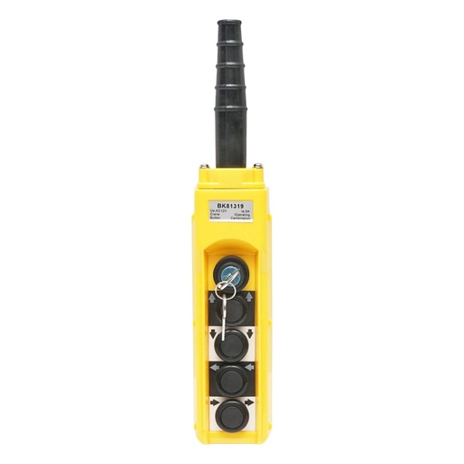 [AMAT6-107329] Telecomanda industriala cu 4 comenzi si contact general cu cheie 12V