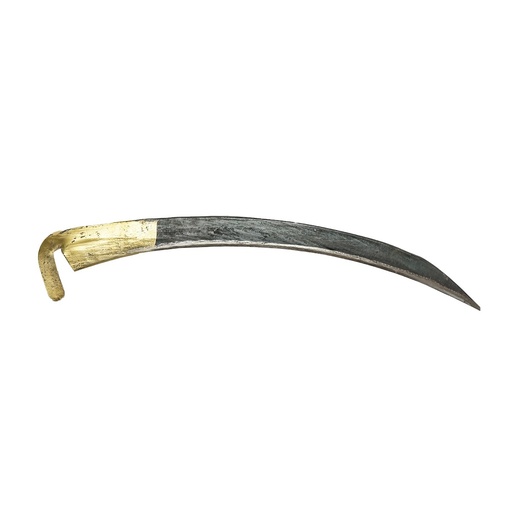 [AMAT6-107970] Coasa profesionala fara coada 800mm