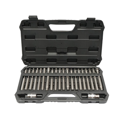 [AMAT6-113218] Trusa biti torx, hex si spline 42 piese 251242 Hoteche