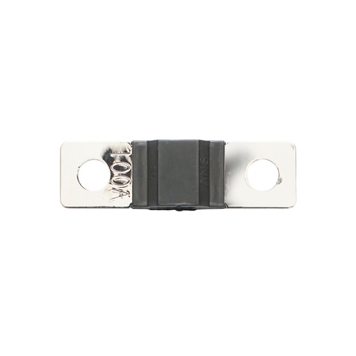 [AMAT6-114743] Siguranta auto fuzibila ANS 100A