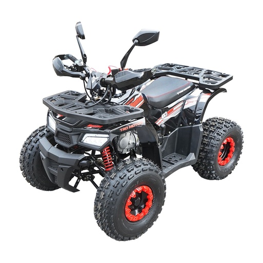 [AMAT6-117948] ATV 120cc, 7 CP, 4x2 cu pornire electrica HUNTER II