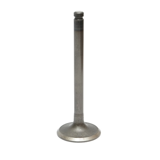 [AMAT6-120321] Supapa admisie Massey Ferguson cod OEM 3142H002, 746823M1