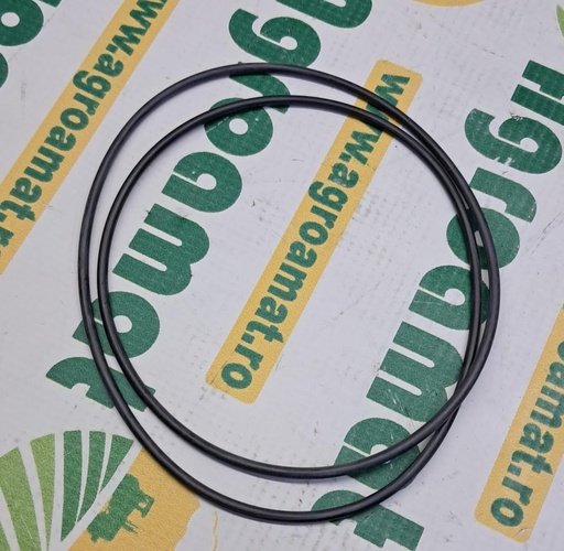 [AMAT1-10910] O-Ring VF03782911