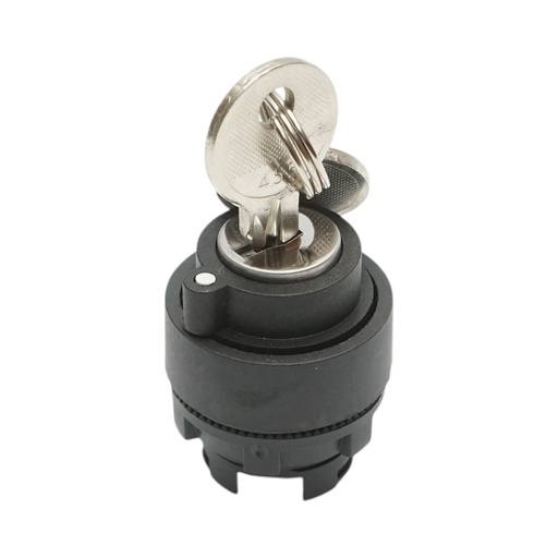 [AMAT6-123843] Cap buton selector 2 pozitii retinere cu cheie Ø 22mm LAY5