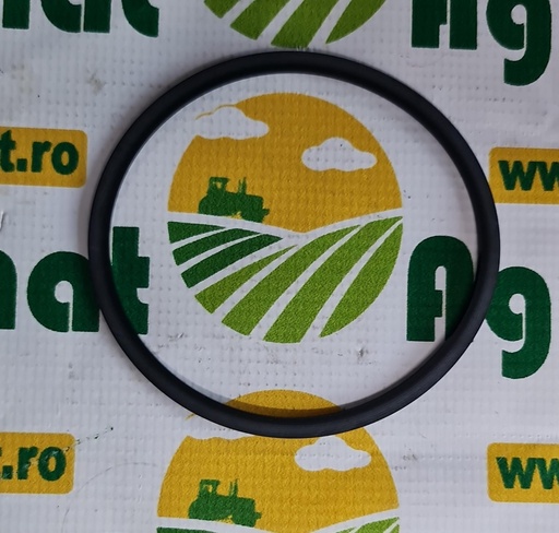 [AMAT1-10898] O-Ring R120845