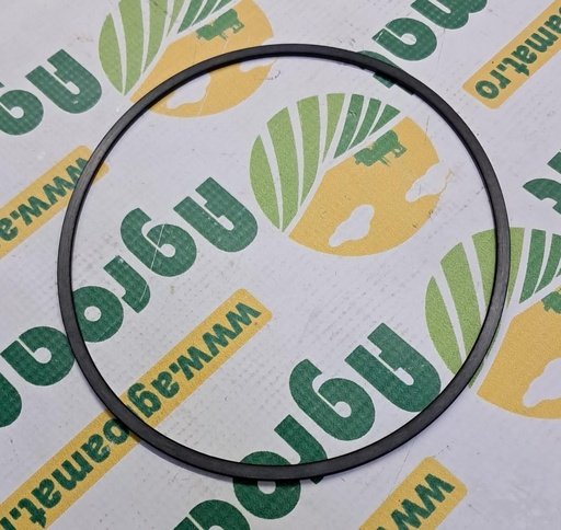 [AMAT1-10893] O-Ring R120843