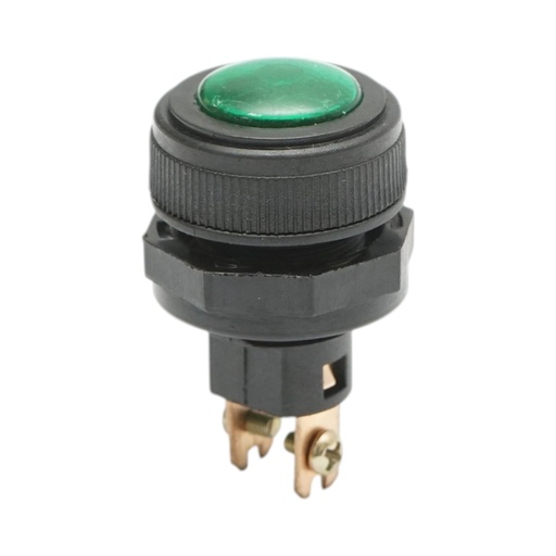 [AMAT6-125948] Indicator luminos verde 12V/10A–24V/5A cu 2 pini universal