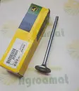 Supapa R520224