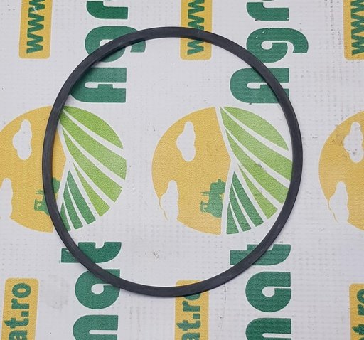 [AMAT1-35958] O-Ring 2.1569.071.0