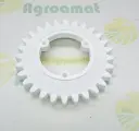 Pinion Gaspardo F06100035R Z-28