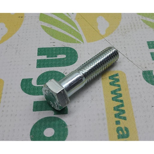 [AMAT1-36193] Surub 19M9599