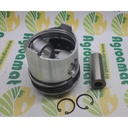 Piston cu Segmenti
