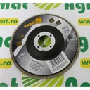 Disc Abraziv P100 125mm