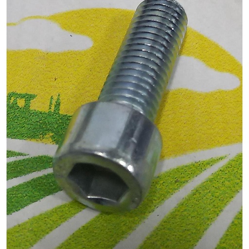 [AMAT1-38907] Surub M12x35