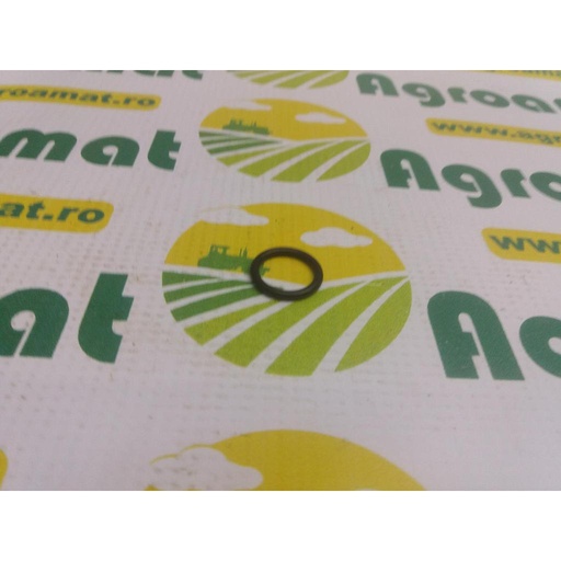 [AMAT1-10331] O-Ring 1966907C1