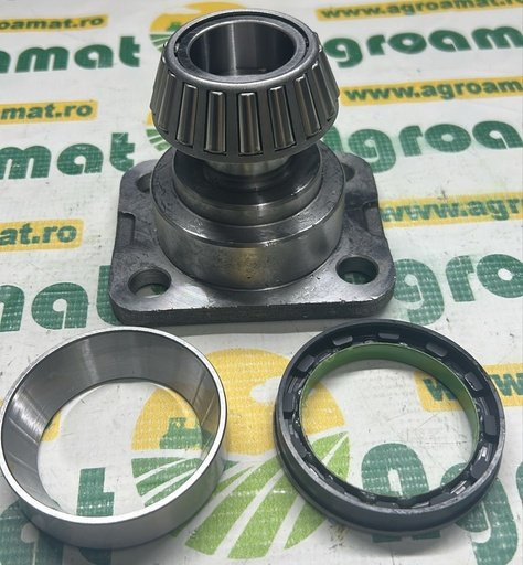 [AMAT1-42861] Pivot Fuzeta AL172488