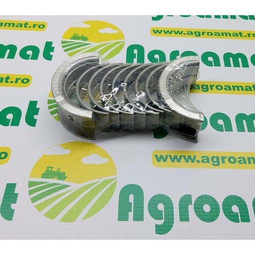 [AMAT1-10300] Set Cuzineti 2-21A
