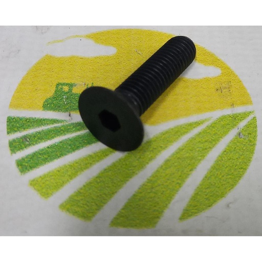 [AMAT1-39793] Surub Cap Inecat Imbus M10x40