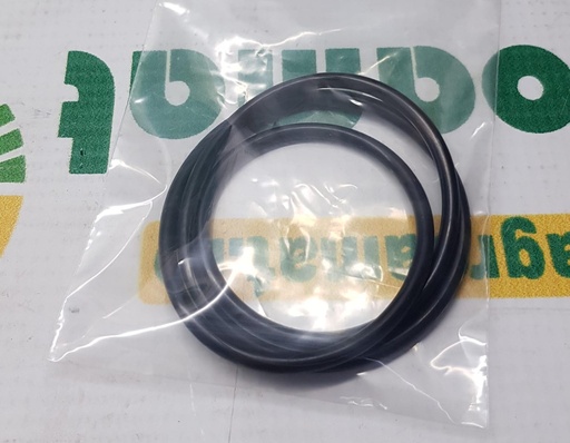 [AMAT1-09700] O-Ring 3052593M2