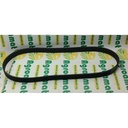 Curea Continental 796450