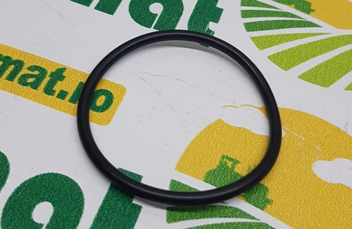 [AMAT1-18022] O-Ring Etansare Z44829